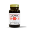 Calanus