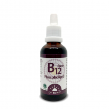 B12 Phospholipide