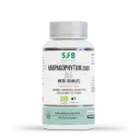 Harpagophytum 3000 Bio – Soutien des articulations | SFB Laboratoires