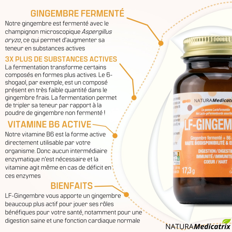 ▷ LF-GINGEMBRE — 60 gélules — NATURAMedicatrix