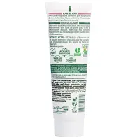 Tagescreme - 67 % Bio-Aloe-Vera - 50 ml - Pur'Aloé