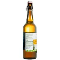 Bio Aloe-Vera-Saft prickelnd - 250 ml - Pur'Aloé