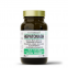 HepatoNASH