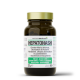 HepatoNASH