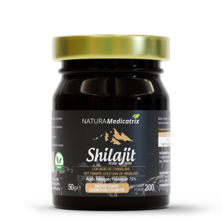 Shilajit (résine)