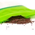 Bio-Brokkolisamen (reich an Schwefel) – 250 g | Dr. Jacob's