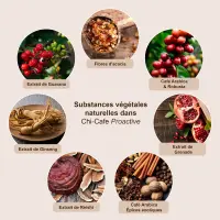 Chi-Cafe Proaktiver 360 g - Gewürzvegetalkaffee | NATURAMedicatrix