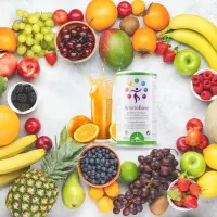 AminoBase - Substitut de repas complet 100% végétal & naturel