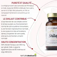Shilajit - 60 gélules - Acide fulvique