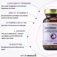 Endocrriway Digest 60 Capsules - Digestion & Loie | NATURAMedicatrix