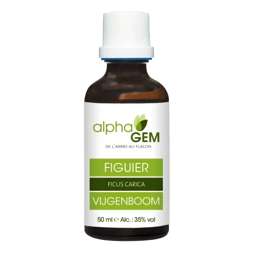 Alphagem – Organic Fig 50 ml | Bud Mother Macerate – NATURAMedicatrix