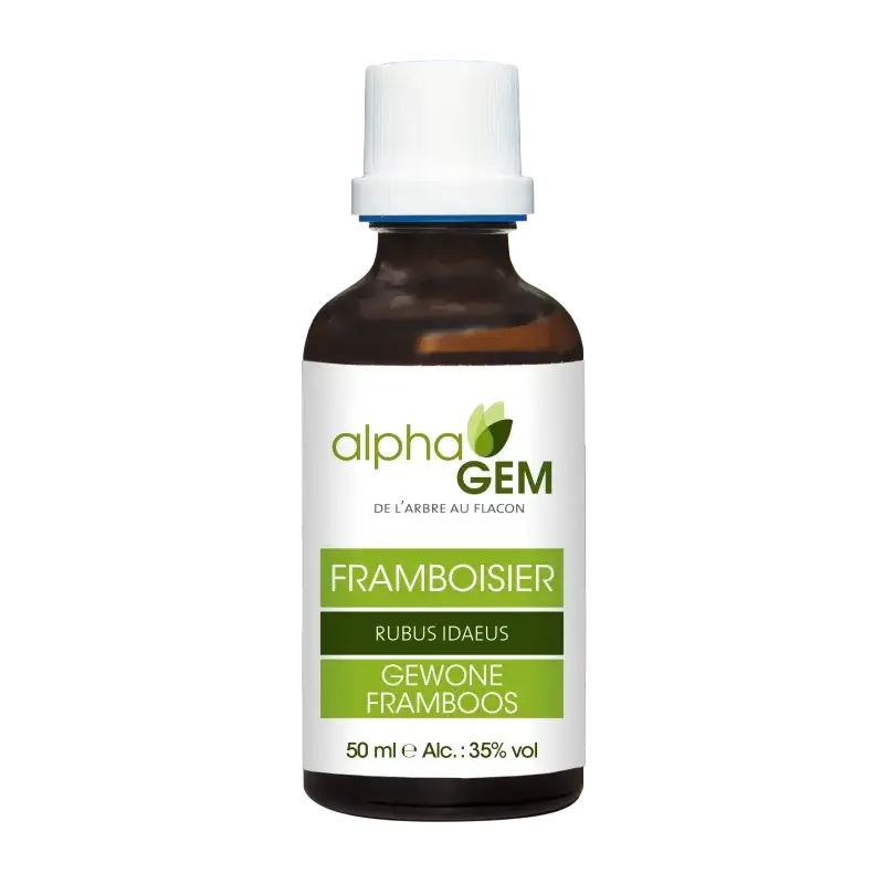 Organic Raspberry Buds – Macerate 50 ml | Alphagem – NATURAMedicatrix