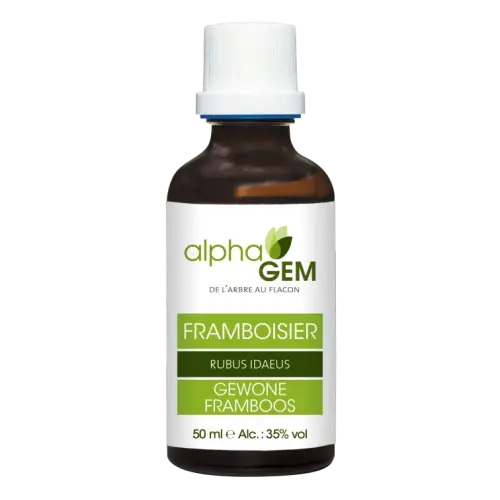 Biologische Frambozenknoppen – Maceraat 50 ml | Alphagem – NATURAMedicatrix