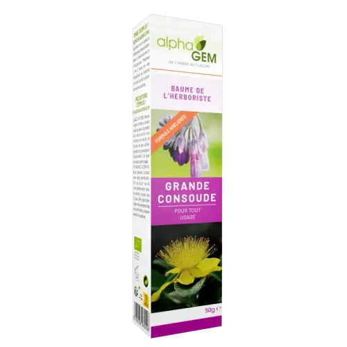 Bio Beinwellbalsam 50 g | Beruhigende Pflege – NATURAMedicatrix