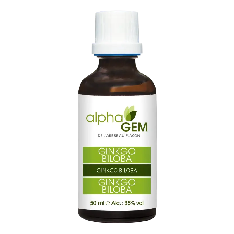 Ginkgo biloba Bio – Macérât de bourgeons 50 ml | Alphagem – NATURAMedicatrix