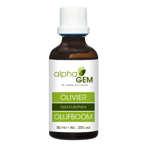 Biologische Olijfknoppen – Maceraat 50 ml | Alphagem – NATURAMedicatrix