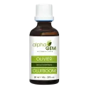 Bio-Olivenknospen – Mazerat 50 ml | Alphagem – NATURAMedicatrix