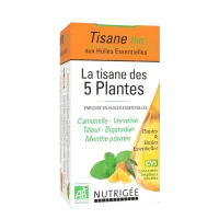 Organic 5-Plant Herbal Tea 20 Bags – Digestion & Relaxation | Nutrigée