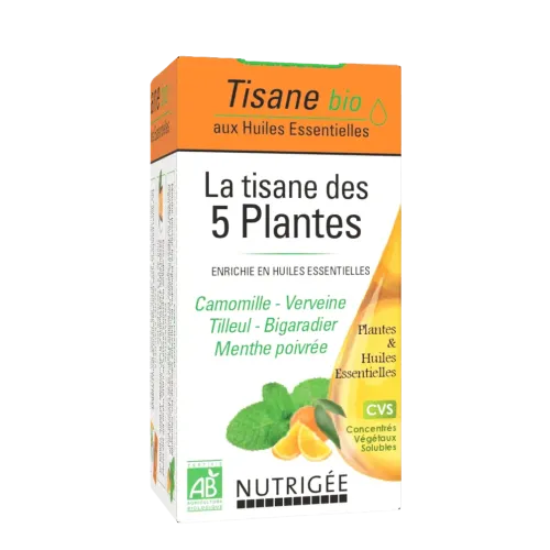 La tisane des 5 Plantes bio