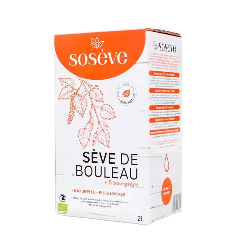 Sève de bouleau bio (+ 5 bourgeons)