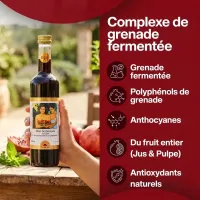 ♥ Élixir de Grenade 500 ml | Jus de grenade fermenté | Dr. Jacob's