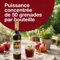 ♥ Élixir de Grenade 500 ml | Jus de grenade fermenté | Dr. Jacob's