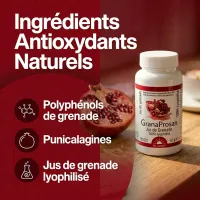 GRANAPROSAN 100 CAPSULES – POLIPHENOLS VAN GRANADA | Dr. Jacob's