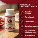 GRANAPROSAN 100 CAPSULES – POLIPHENOLS VAN GRANADA | Dr. Jacob's