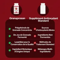 GRANAPROSAN 100 CAPSULES – POLIPHENOLS VAN GRANADA | Dr. Jacob's