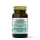 LF-Antodia 60 Kapseln - fermentierte Antodien & gesunde Leber | NATURAMedicatrix