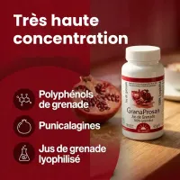 GRANAPROSAN 100 CAPSULES – POLIPHENOLS VAN GRANADA | Dr. Jacob's