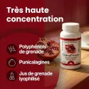 GRANAPROSAN 100 CAPSULES – POLIPHENOLS VAN GRANADA | Dr. Jacob's