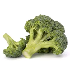 Food supplements based on broccoli
