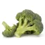 Brocoli