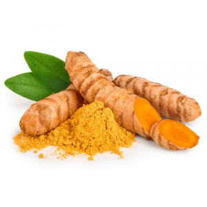 Curcuma