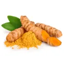 Curcuma