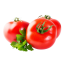 Tomate