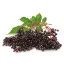 Elderberry