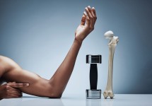 Joints, Muscles & Bones