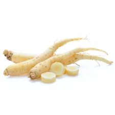 Ginseng — NATURAMedicatrix