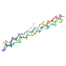 Marines Kollagen & Kollagenpeptide | NATURAMedicatrix