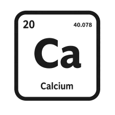 Calcium: Vorteile, Rolle und Nahrungsergänzungsmittel | NATURAMedicatrix