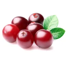 Canneberge / Cranberry — NATURAMedicatrix