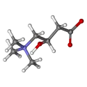 Carnitine