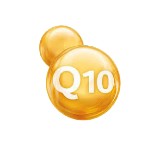Co-Enzyme Q10 (ubiquinone et ubiquinol)