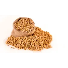 Soybean oil 