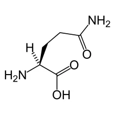 Glutamine