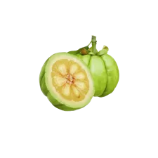 Garcinia