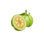 Garcinia