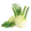 Fenchel